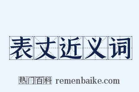 表丈近义词是什么意思的图片